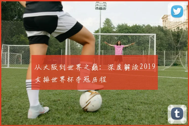 从大阪到世界之巅：深度解读2019女排世界杯夺冠历程